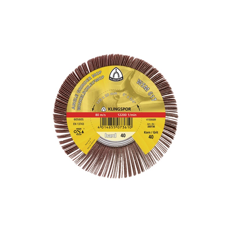 Ściernica listkowa nasadzana WSM 617 granulacja 80 125x20 mm KLINGSPOR (277020) Ściernica listkowa nasadzana WSM 617 granulacja 80 125x20 mm KLINGSPOR (277020)