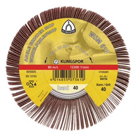 Ściernica listkowa nasadzana WSM 617 granulacja 120 125x20 mm KLINGSPOR  (277021)